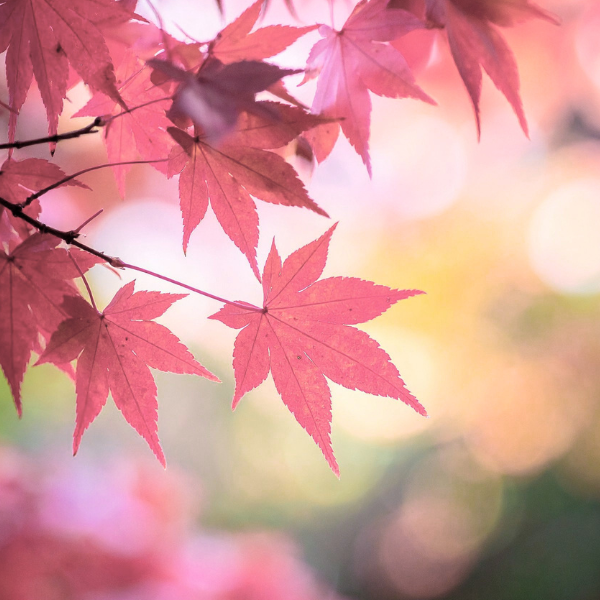 [DOWNLOAD] May 2026 Calendar for Newsjacking Opportunities